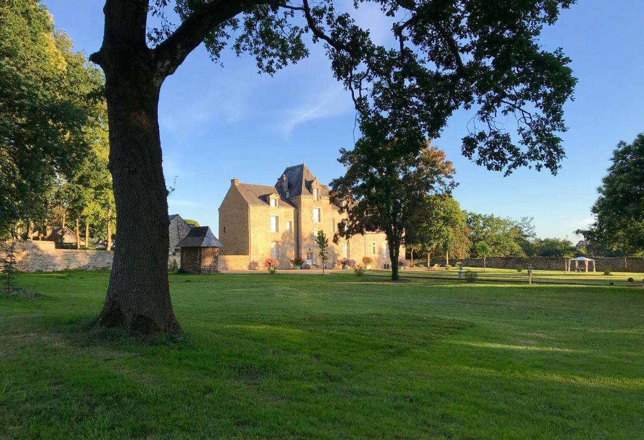Chateau De Cadouzan Saint-Dolay Exterior photo